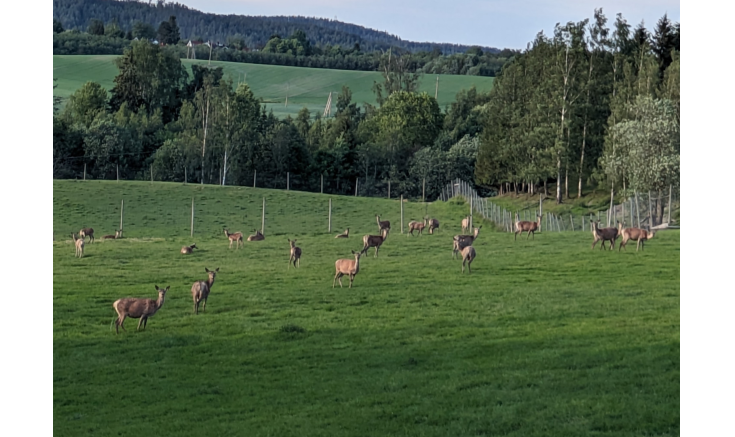 Besøk hos Brøholt Gård & Hjortefarm